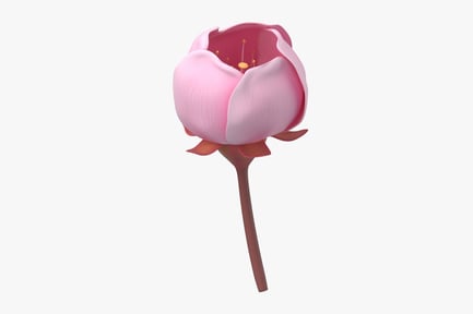 Preview: Cherry Blossom Sprig - Unopened Bloom