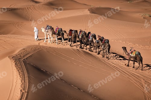 Preview: Desert