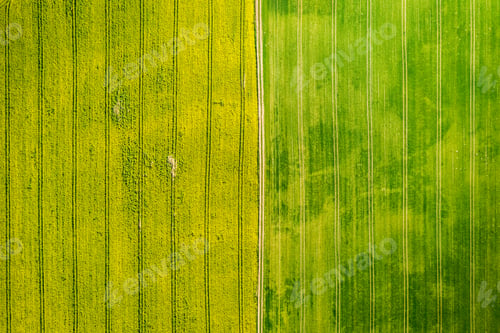 Preview: Yellow and green rape fields in the spring, aerial view