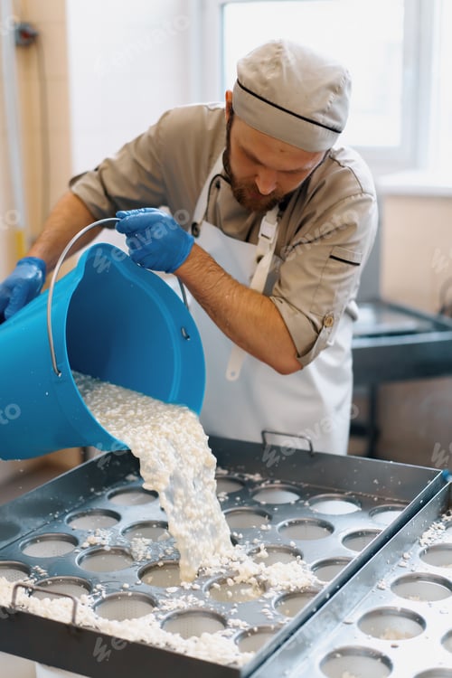 Preview: cheese maker pours fresh cheese into molds for making brie cheese craft cheese production