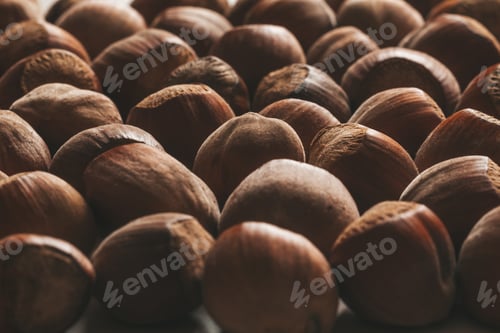 Preview: Closeup of some unopened hazelnuts