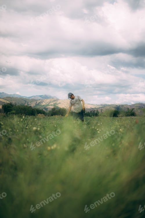 Preview: Man Harvests Produce in a Beautiful Rural Setting
