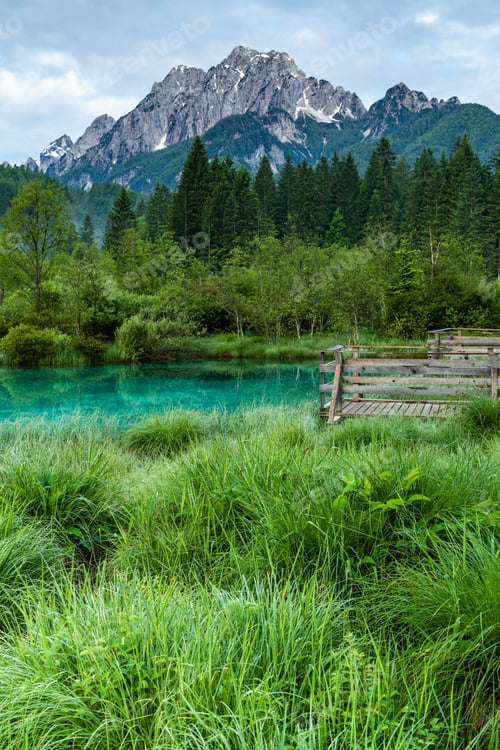 Preview: Zelenci nature reserve in Triglav national Park, Slovenia.