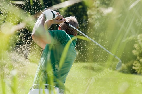 Preview: Golf player, rear view