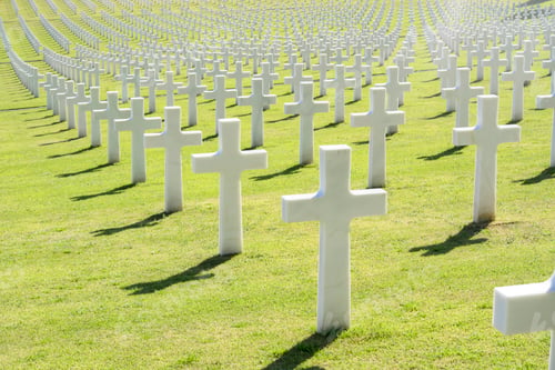 Preview: The white crosses of the war cemetery in Florence