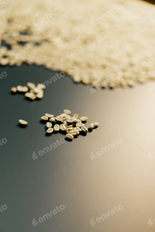 Preview: close-up at a coffee roasting factory sorts green coffee with his hands