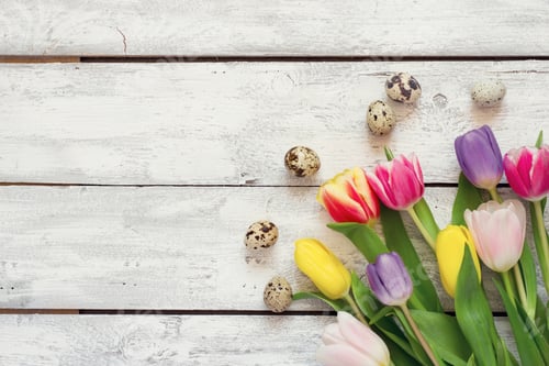 Preview: White wooden Easter background with tulips and eggs