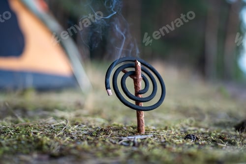 Preview: Lit mosquito coil spiral during nature retreat on camping site in forest. Fumigators with safe smoke