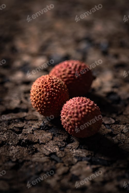 Preview: Three ripe lychees