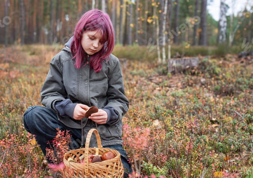 Preview: Girl foraging wild mushrooms in autumn forest