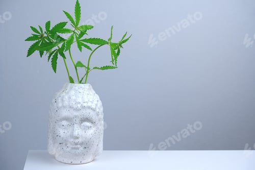 Abstract Vase with Green Leaves on Table