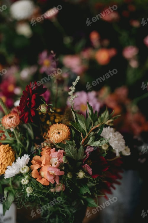 Preview: flower
