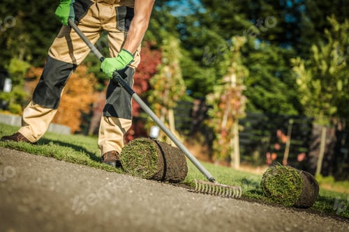 Preview: Gardening Company Worker Installing Fresh Natural Grass
