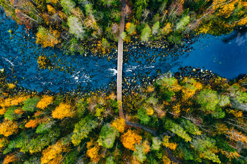 Preview: Aerial view of fast river flow through the rocks and colorful forest. Autumn in Finland