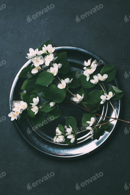 Preview: top view of beautiful white blooming jasmine flowers on shiny metal plate