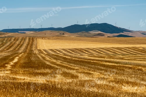 Preview: Rural landscape in Basilicata at summer