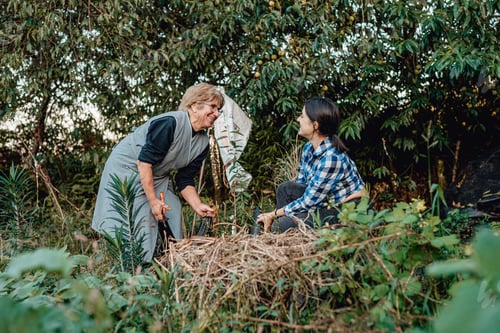 Preview: Happy senior woman with homegrown vegetables with grand daughter.Working collecting vegetables