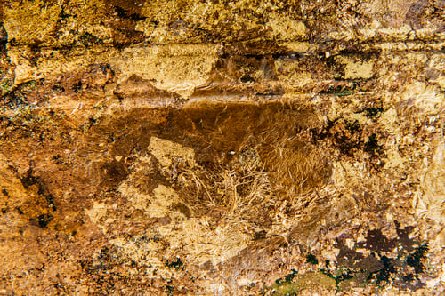 Preview: Wrinkled golden textured background