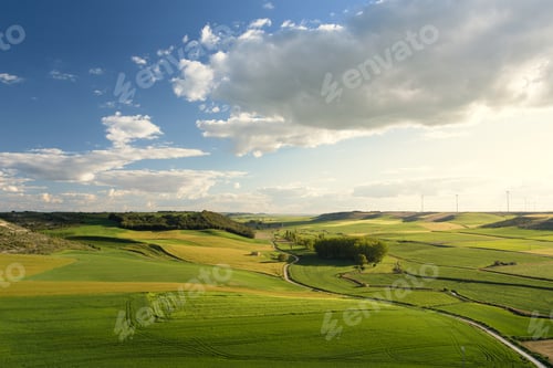 Preview: a view of a beautiful country landscape of green fields and trees