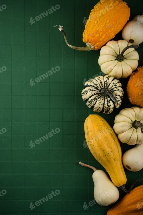 Preview: Decorative pumpkin on green background.
