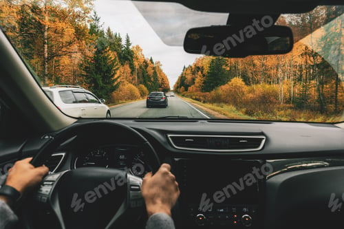 Preview: Man driving car on the country road in autumn.