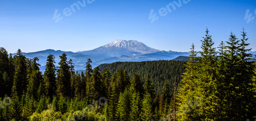 Preview: Mt. Saint Helens View, National Forest, Washington State