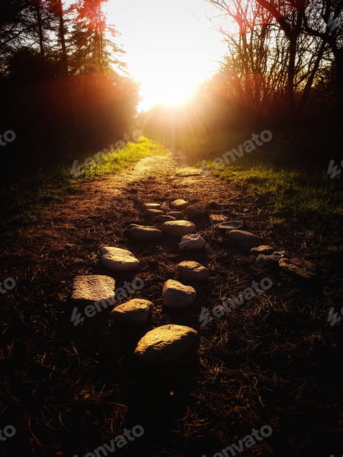 Preview: a path made of stone leads to the sunset through a forest