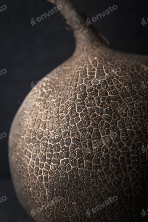 Preview: Black Radish Close Up Still Life