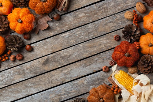 Preview: Autumn fall thanksgiving day composition with decorative pumpkins