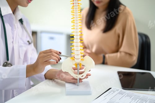 Preview: Doctor showing model of the spine while consulting patient in clinic