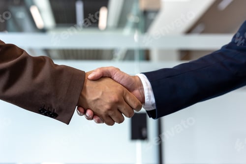 Preview: Businessmen shaking hands after successful meeting in office