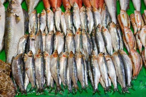 Preview: Market stall selling seafood delicacies in Istanbul