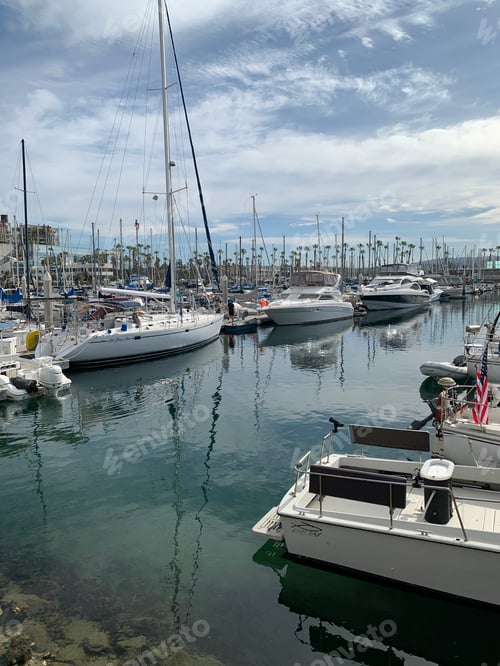 Preview: A Calm Harbor