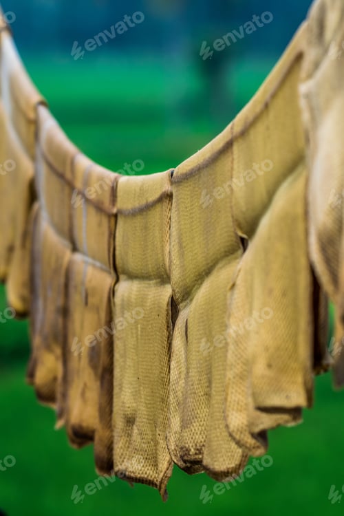 Preview: Vertical closeup shot of ribbed smoked sheets hanging on a line