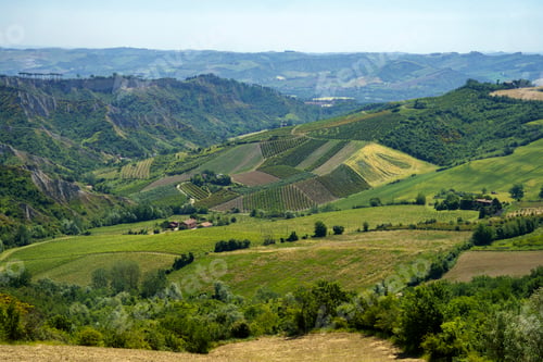 Preview: Rural landscape on the hills near Imola and Riolo Terme