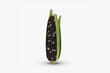 Preview: Purple Corn on the Cob with Husk