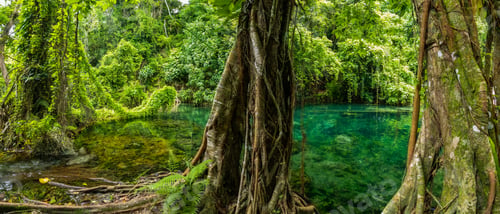 Preview: Rarru Rentapao Cascades, Waterfall and the River, Teouma village, Efate Island, Vanuatu