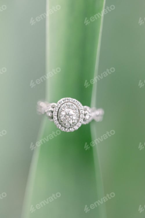Preview: Close up of a Diamond ring on a green leaf