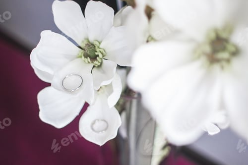 Preview: Engagement rings on a flower
