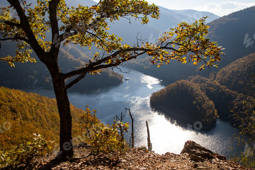 Preview: amazing aerial view of lake in autumn