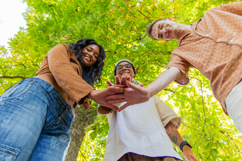 Preview: Multicultural friends joining hands in the park