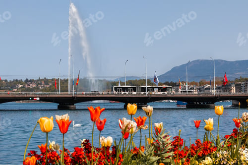 Preview: View of spring Geneva city