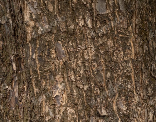 Preview: Pattern surface texture. Close-up of material for background