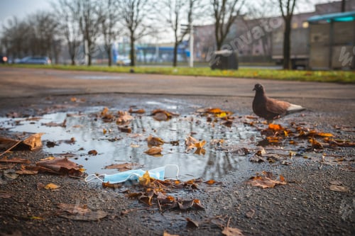 Preview: Waste Coronavirus, Covid 19 Pandemic Garbage Face Masks in Nature, Environmental Pollution, Land