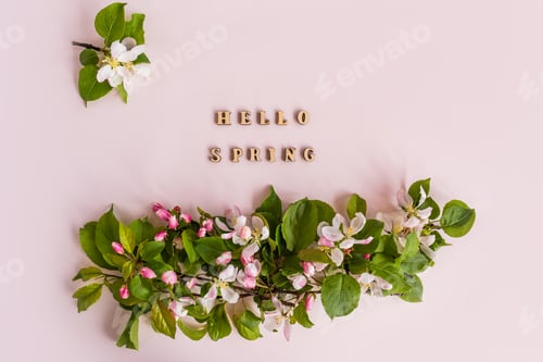 Preview: Apple tree blossom branch white background flat lay. White flowering buds top view template long