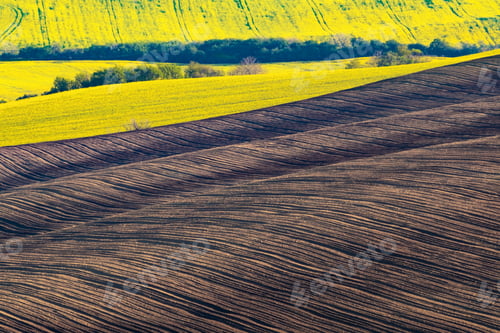 Preview: Landscape with agricultural fields
