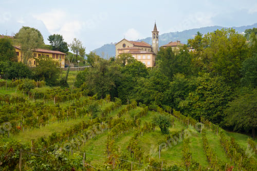 Preview: Landscape in the park of Curone, Lecco province, Italy