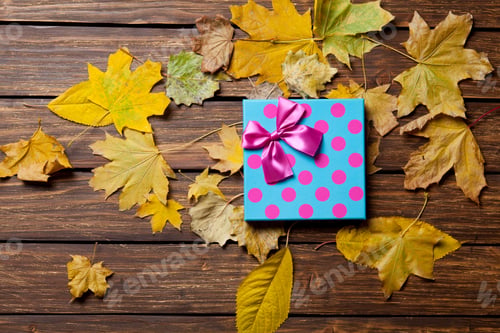 Preview: Gift box and leafs