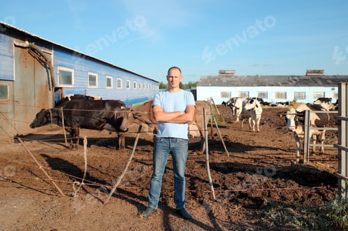 Preview: Farmer Is Working On The Farm With Dairy Cows