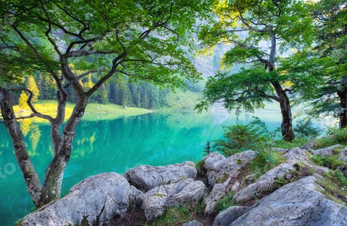 Preview: Forest and lake in the Switzerland mountain valley. Tree and water. Natural landscape